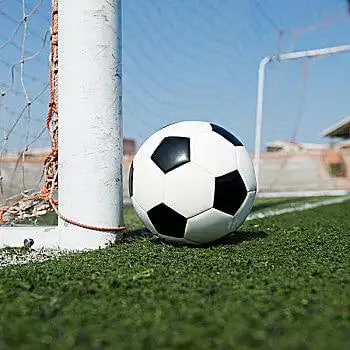 即时比分了应用界面展示